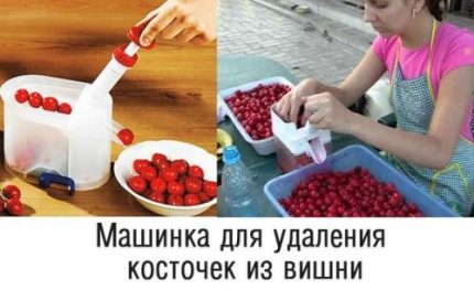 Машинка для удаления косточек из вишен и оливок  HELPER HOFF