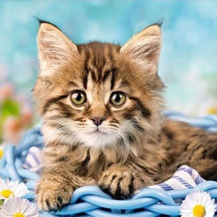 Алмазная мозаика картина стразами Котёнок, 15х20 см