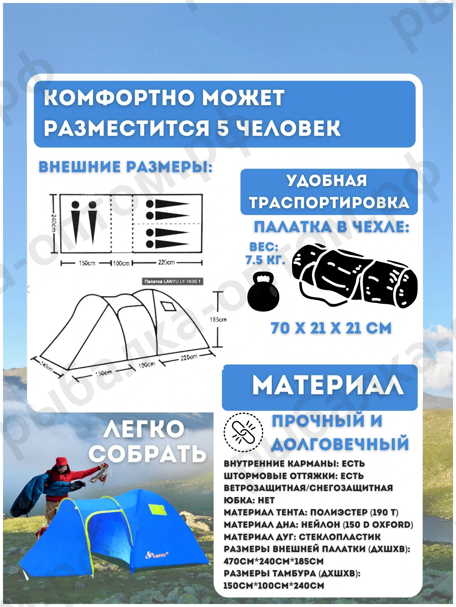 52538-3.jpg.webp