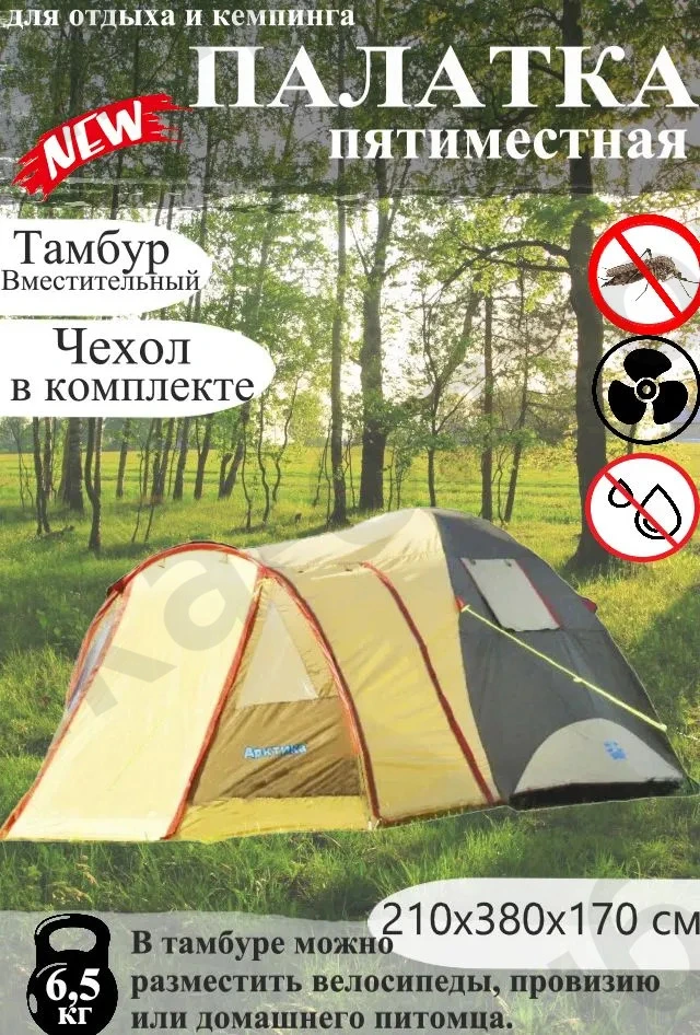52555.jpg.webp