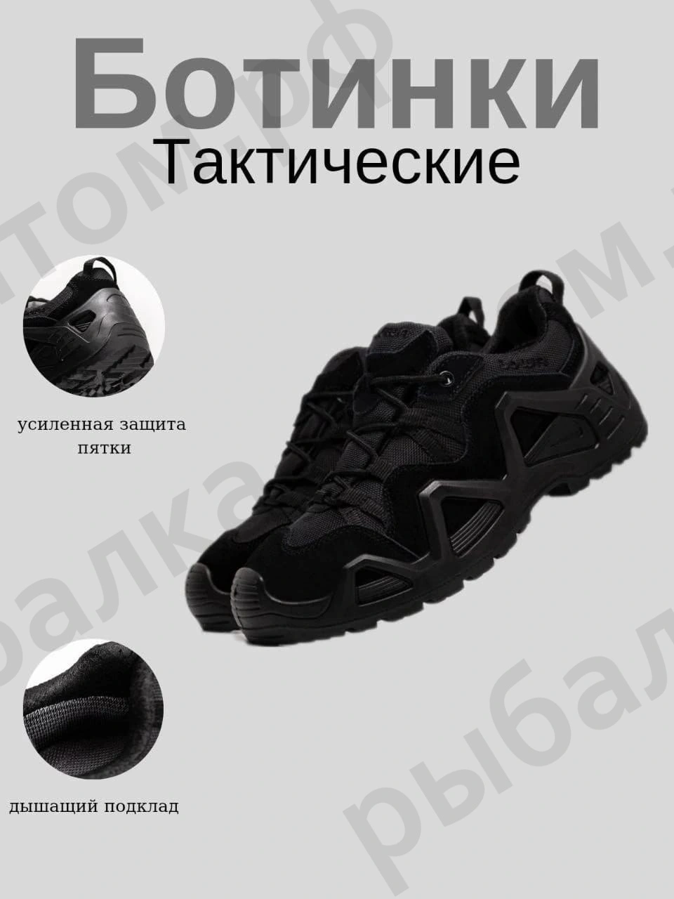 60586.jpg.webp