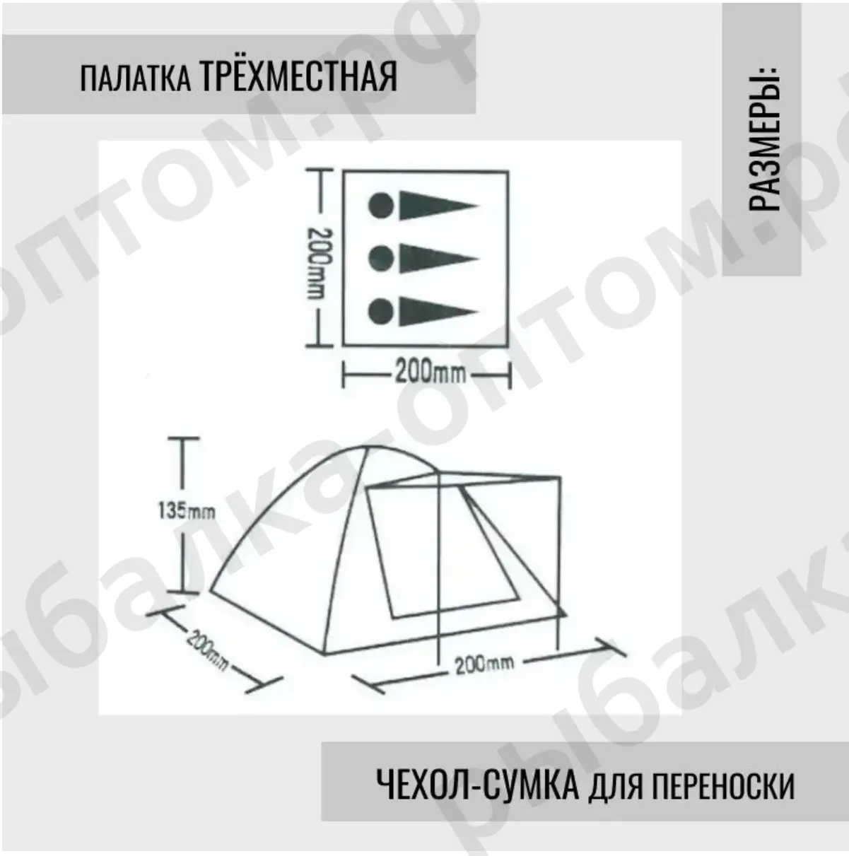 69908-3.png.webp