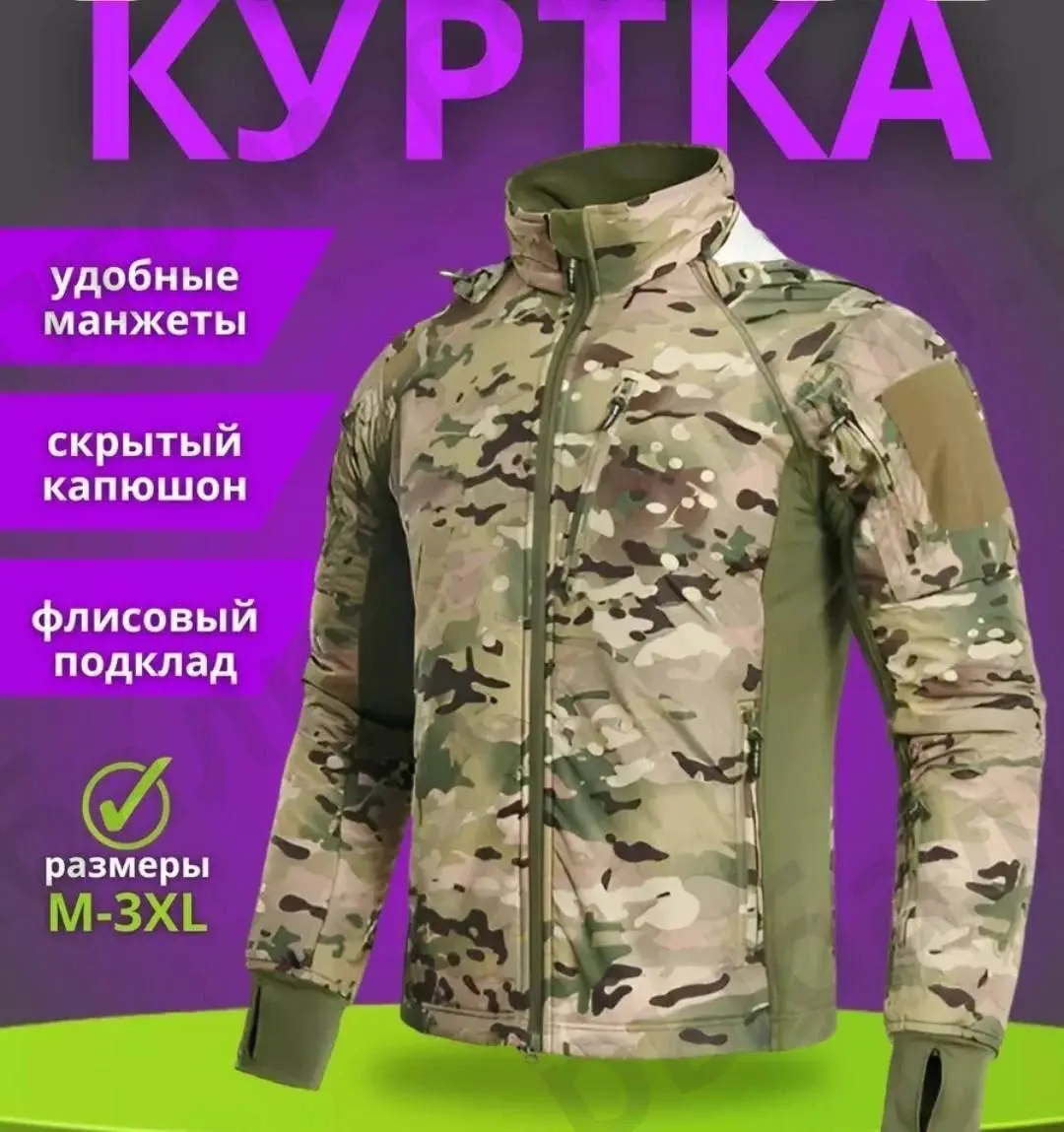 82666.jpg.webp
