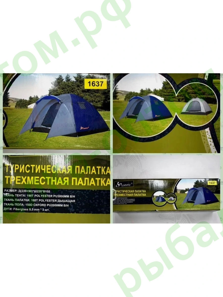 9597-2.jpg.webp