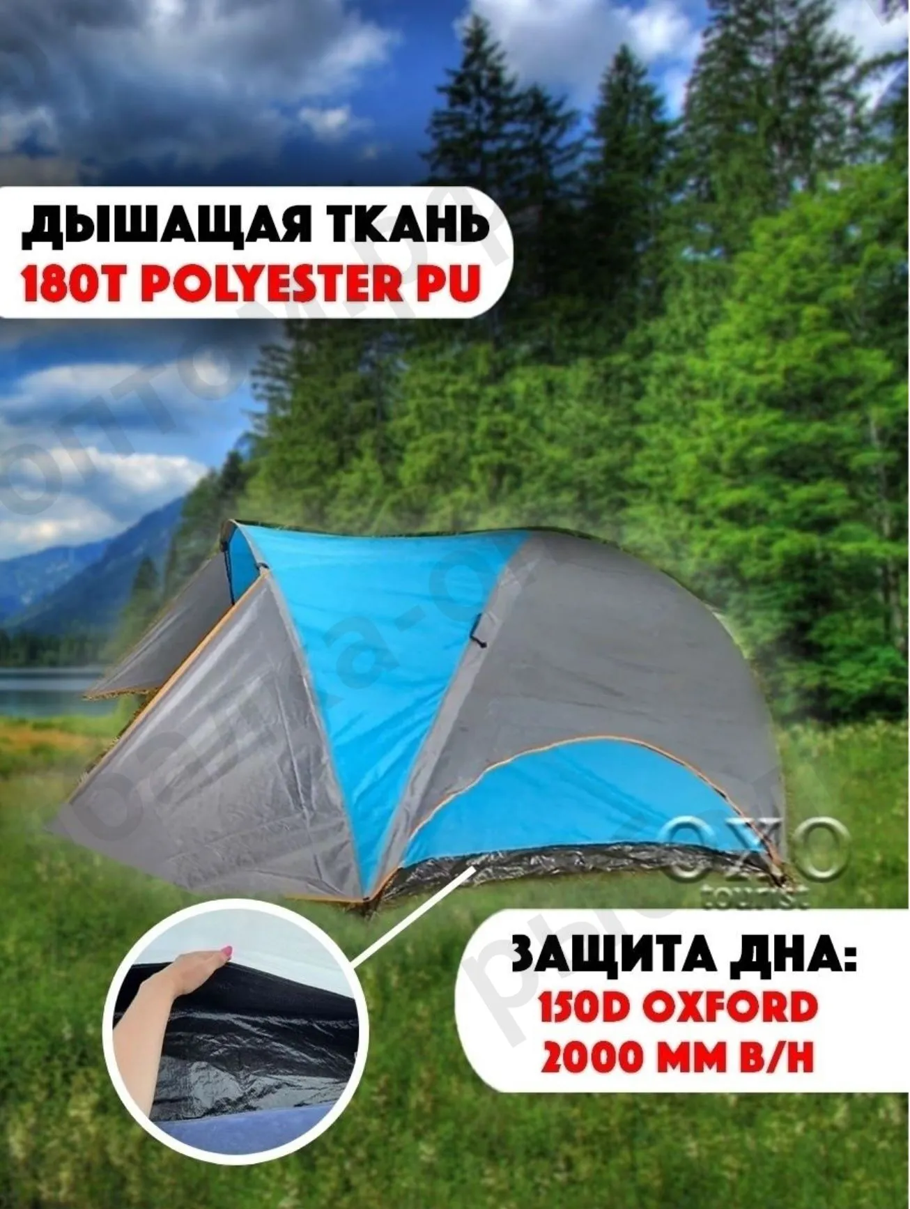 9611-2.jpg.webp