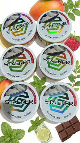 STALKER LIMITED EDITION 200MG MINT CHOCOLATE