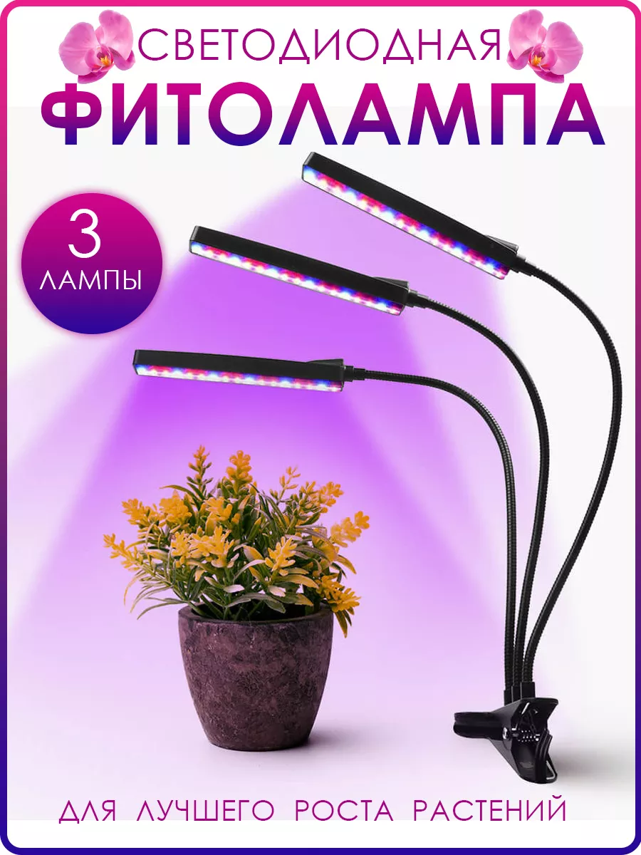 vl12v65j3h81pe3rxkq76b0g7r7inxj2